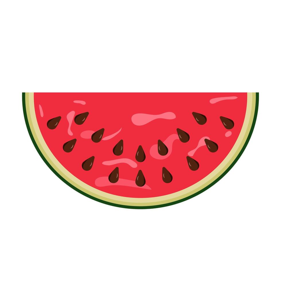 Juicy Watermelon Slice Illustration. A fresh, juicy watermelon slice. The rich red flesh of the fruit dotted with glossy, dark brown seeds. vector