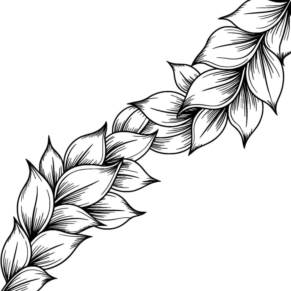 Elegant Line Art Floral Corner Element in Black and White. vector