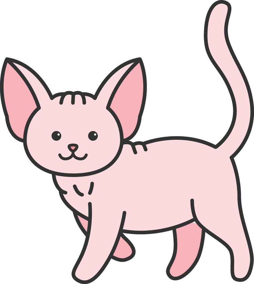 cute sphynx cat illustration vector