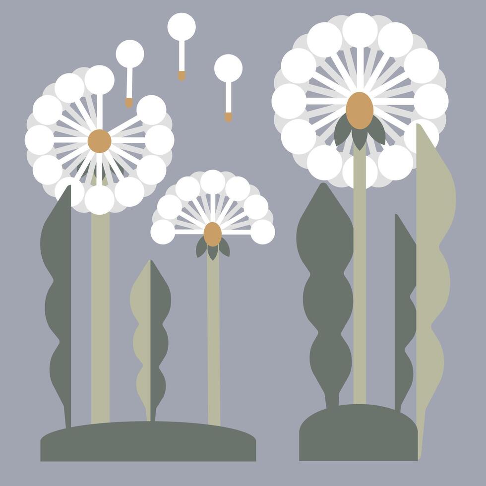 White dandelion and dandelion seeds blowing in the wind, isolated in an editable background. vector