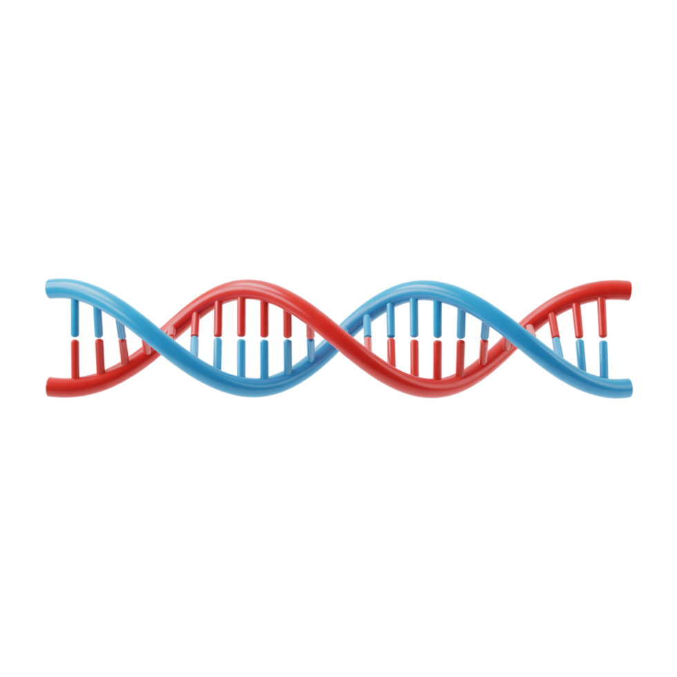 3D DNA Helix Structure Red and Blue Strands Intertwined on Transparent Background png
