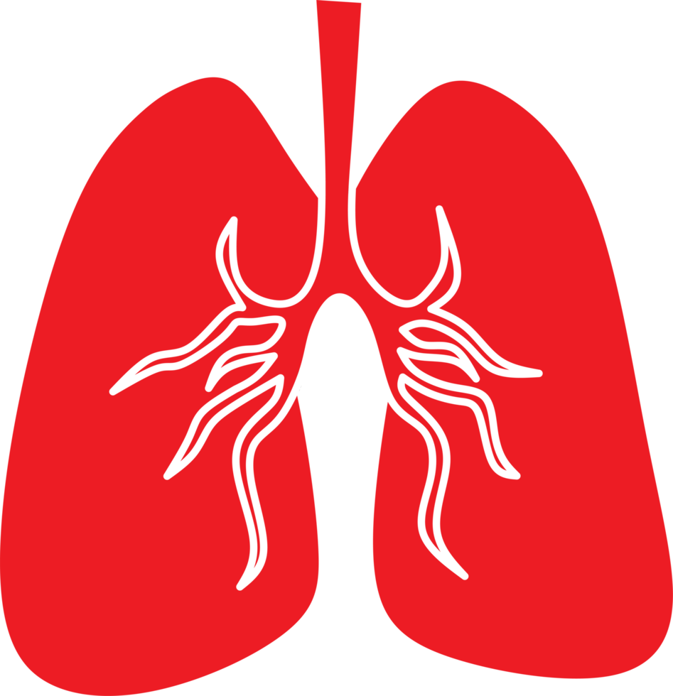 Human lung graphic. Simple medical illustration. png