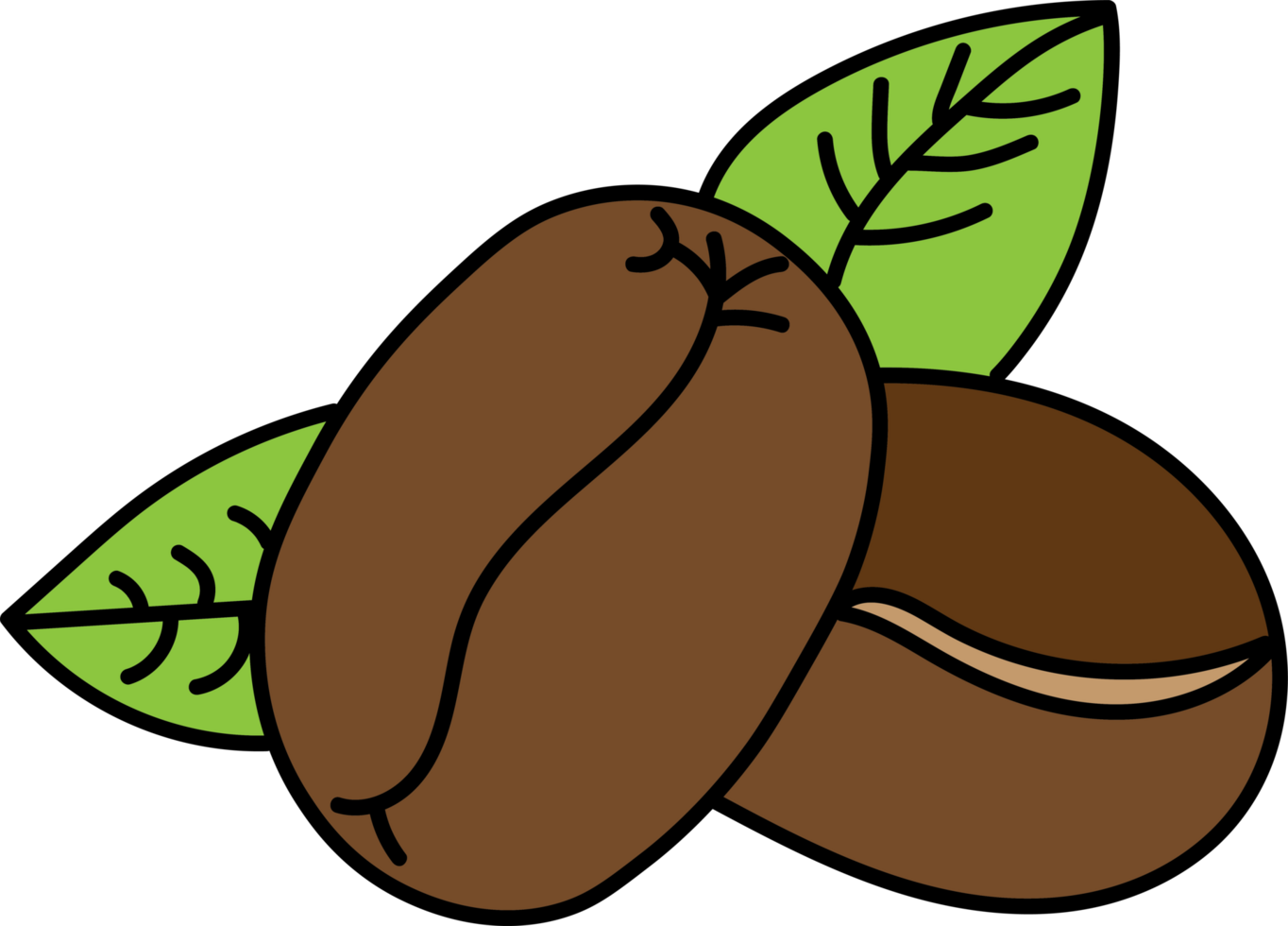 Stylized illustration of a coffee bean with green leaves, representing natural coffee and fresh ingredients, vibrant graphic for beverage and organic product png