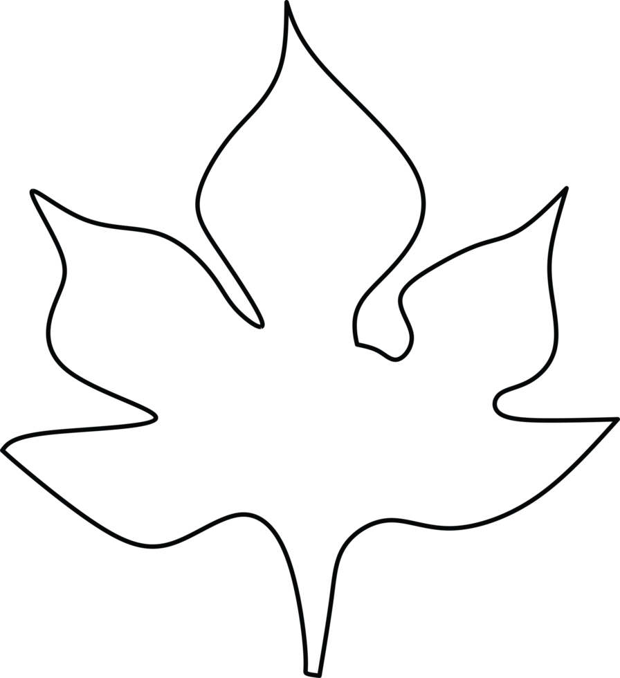 Leaf Outline Drawing Capturing a Simplistic Nature-Inspired Design png