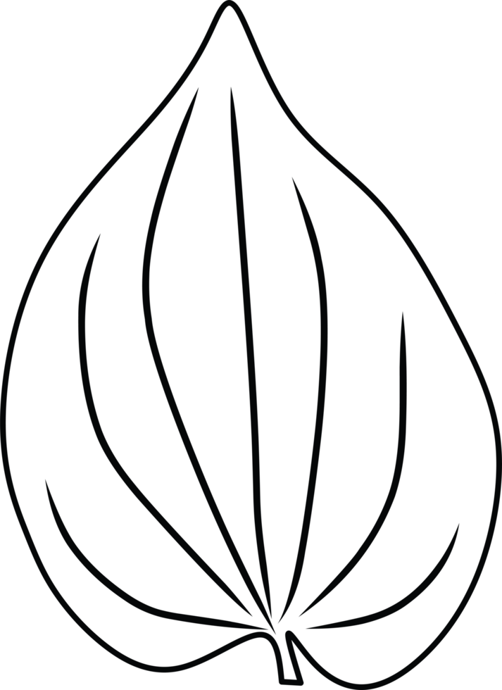 Simple Line Drawing of a Leaf with Detailed Veins and Elegant Design png