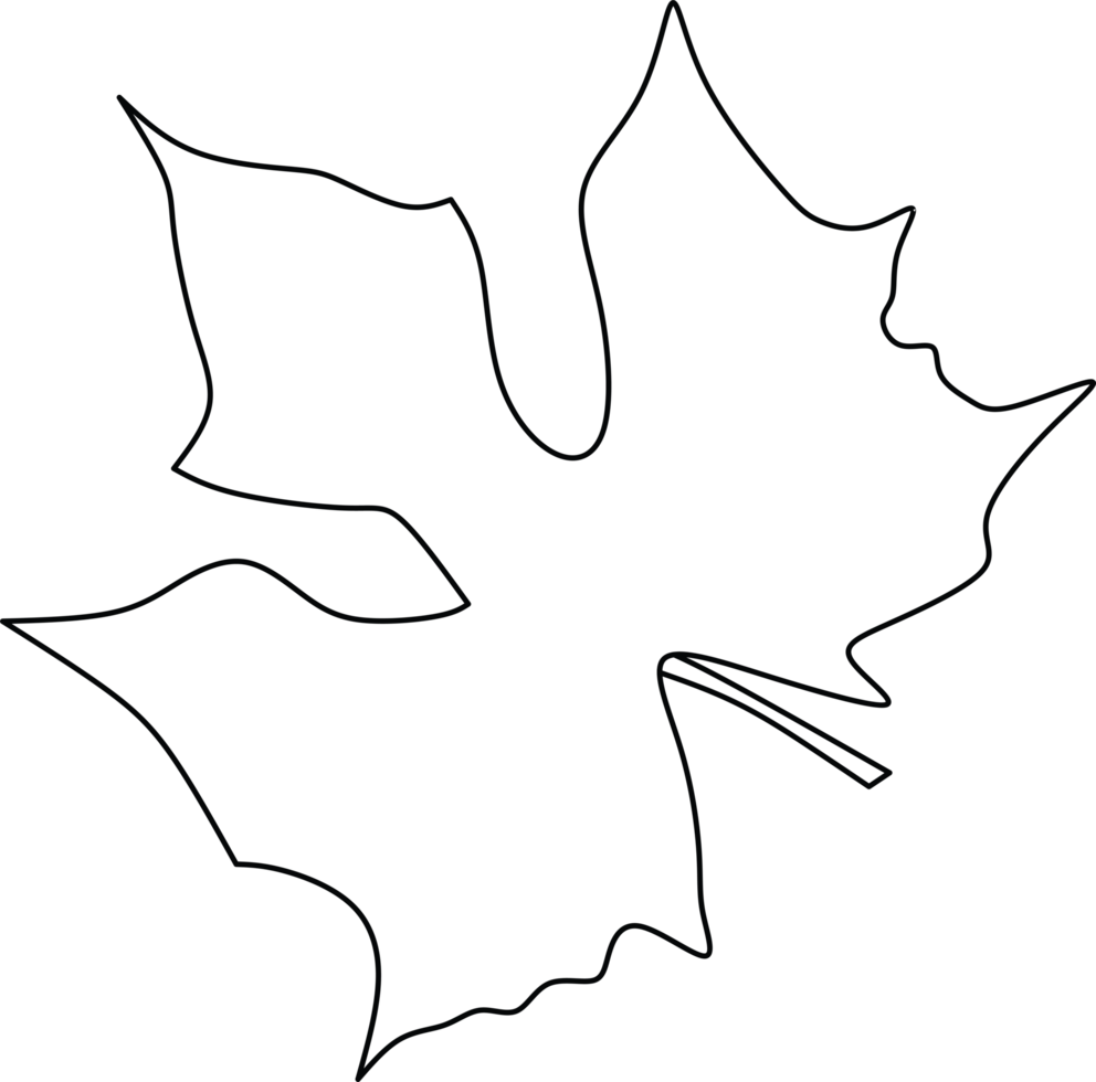 Outline of a Maple Leaf in Simple Black Line Art png