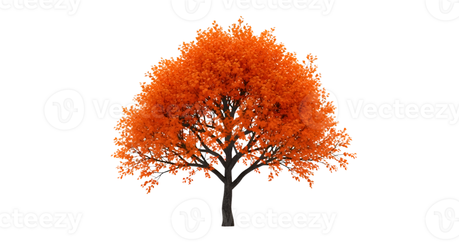 Isolated Autumn Tree With Orange Leaves On Transparent Backdrop png