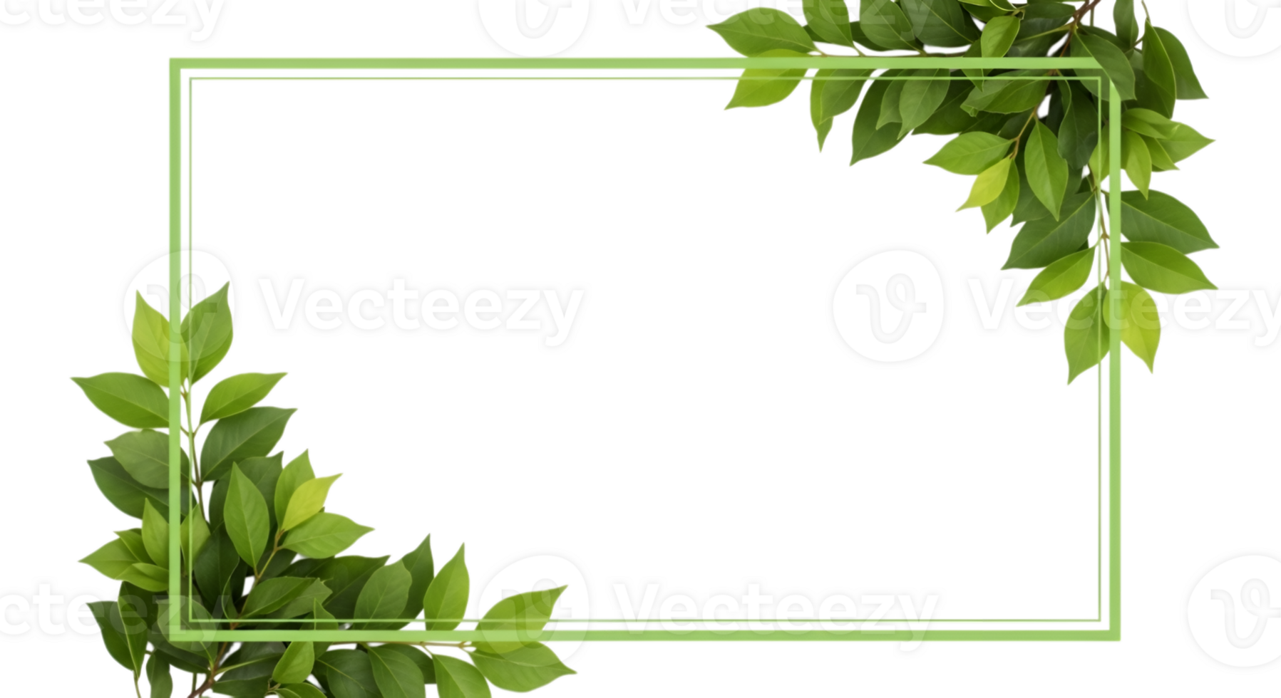 Green Leaves Frame png