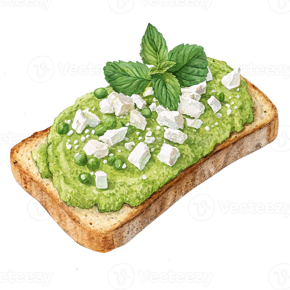 Delicious avocado toast topped with feta and mint leaves. png
