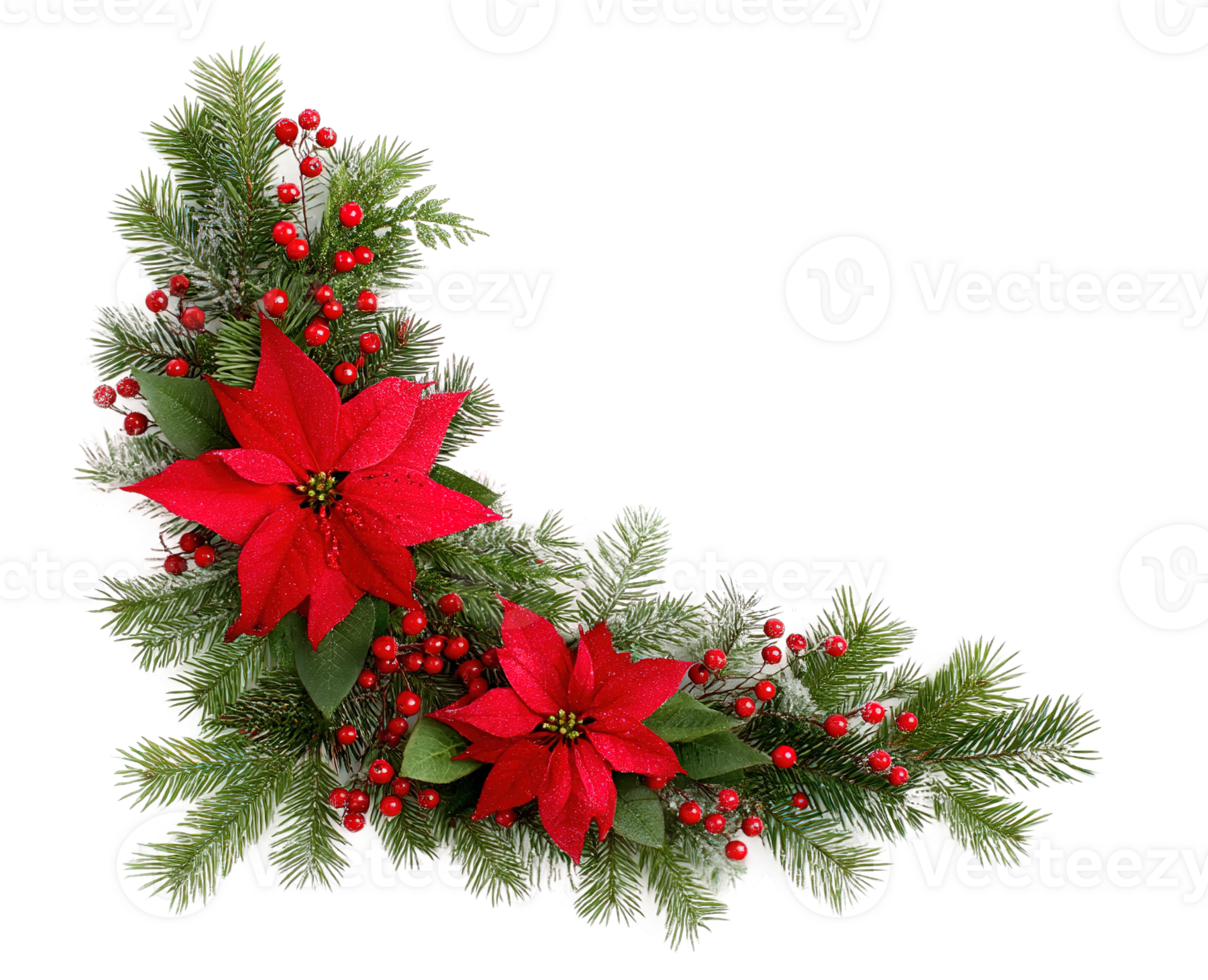Christmas Poinsettia Arrangement Isolated on Transparent Background For Festive Greetings png