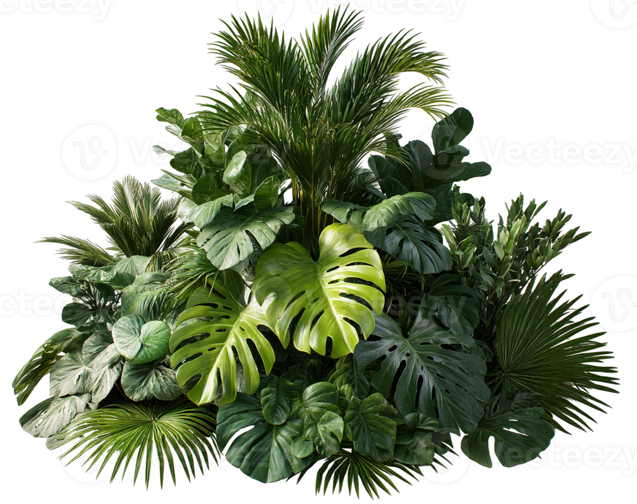 Lush Green Tropical Plant Composition for Realistic Rendering Isolated on Transparent Background png