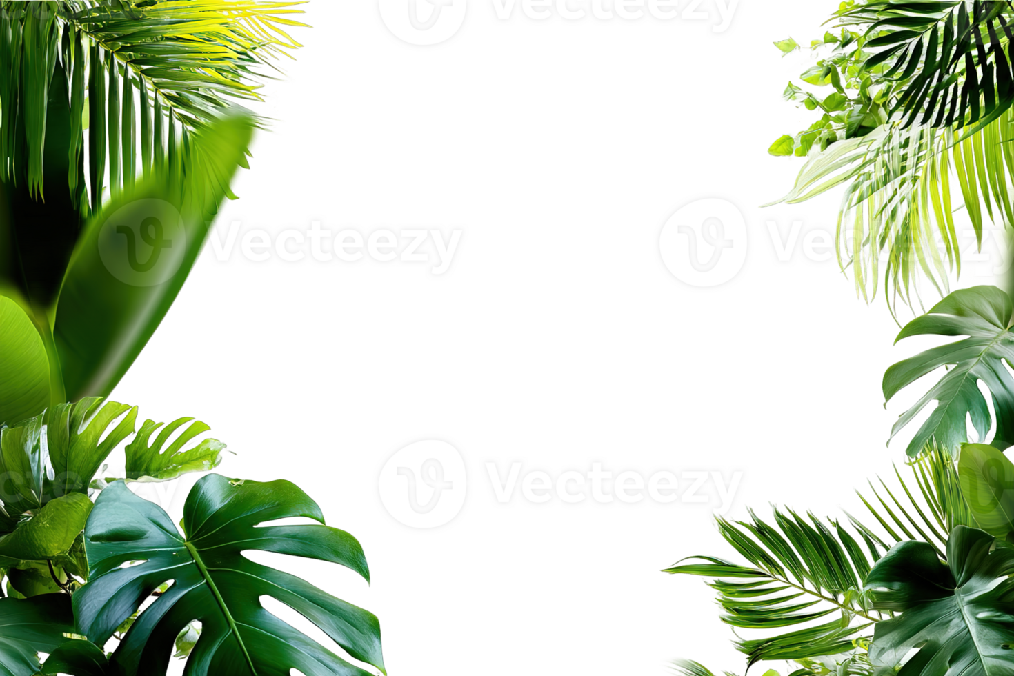 Exotic Tropical Leaves Frame Greenery Isolated On Transparent Background Design png