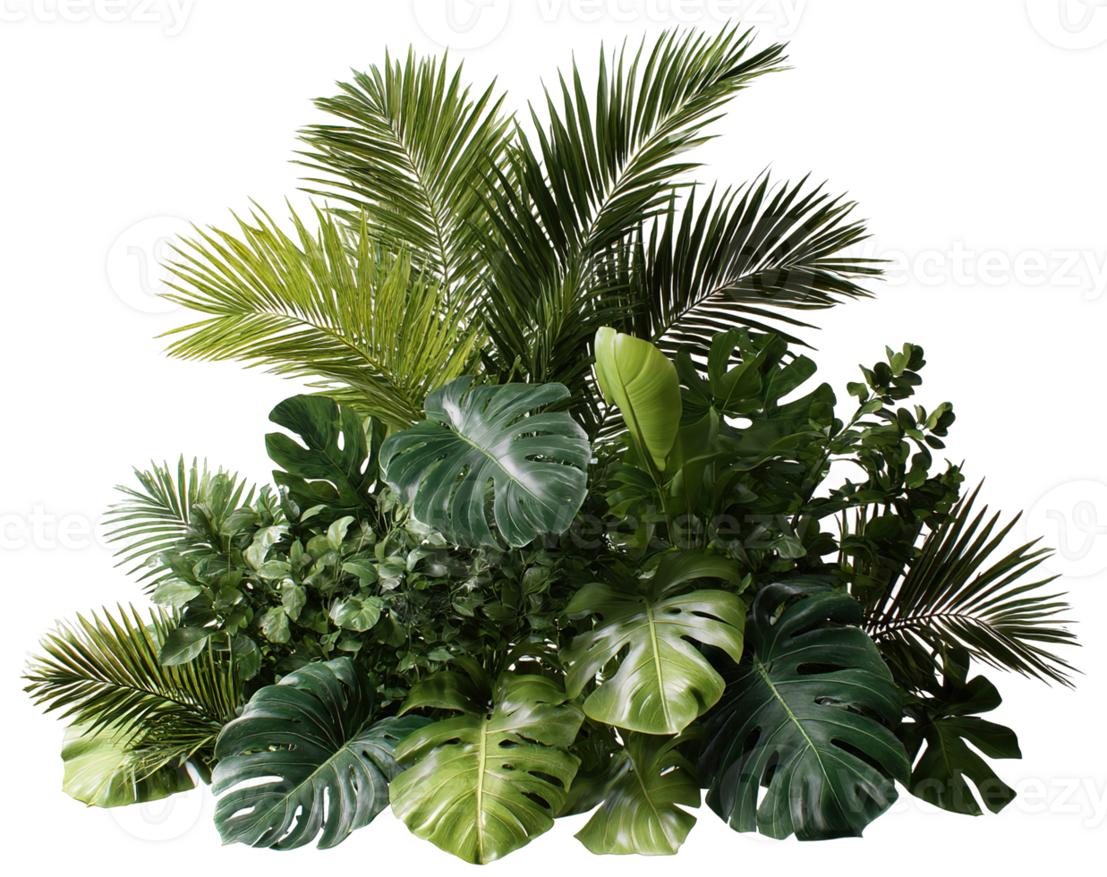 Green Forest Plants Transparent Background Isolated Nature Tropical Jungle Elements png