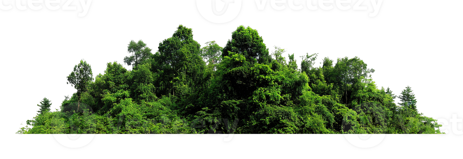 Green Forest with Transparent Background Isolated Landscape Forest Photography png