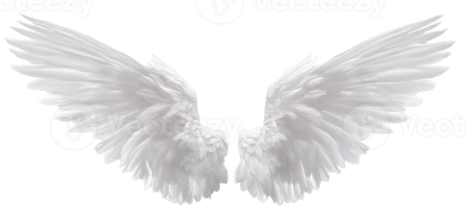 Beautiful Angel Wings Isolated on Transparent Background Fantasy Wings Design Concept png