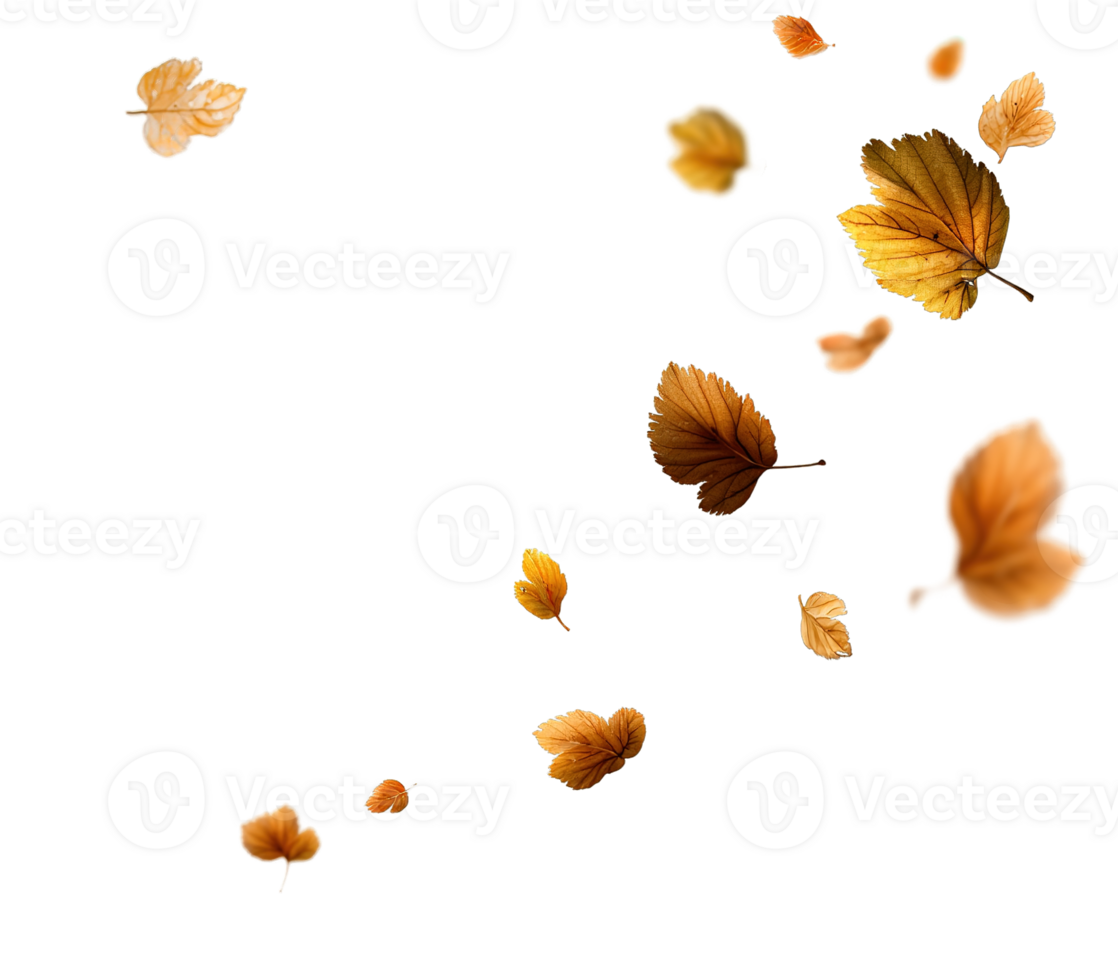 Autumnal Falling Leaves Image with Transparent Background in Isolated Design Style png