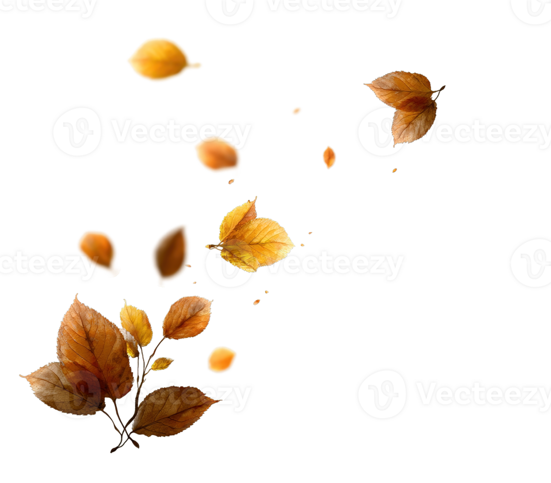 Autumn Leaves Falling Isolated on Transparent Background Season Change Natural Beauty Decoration png