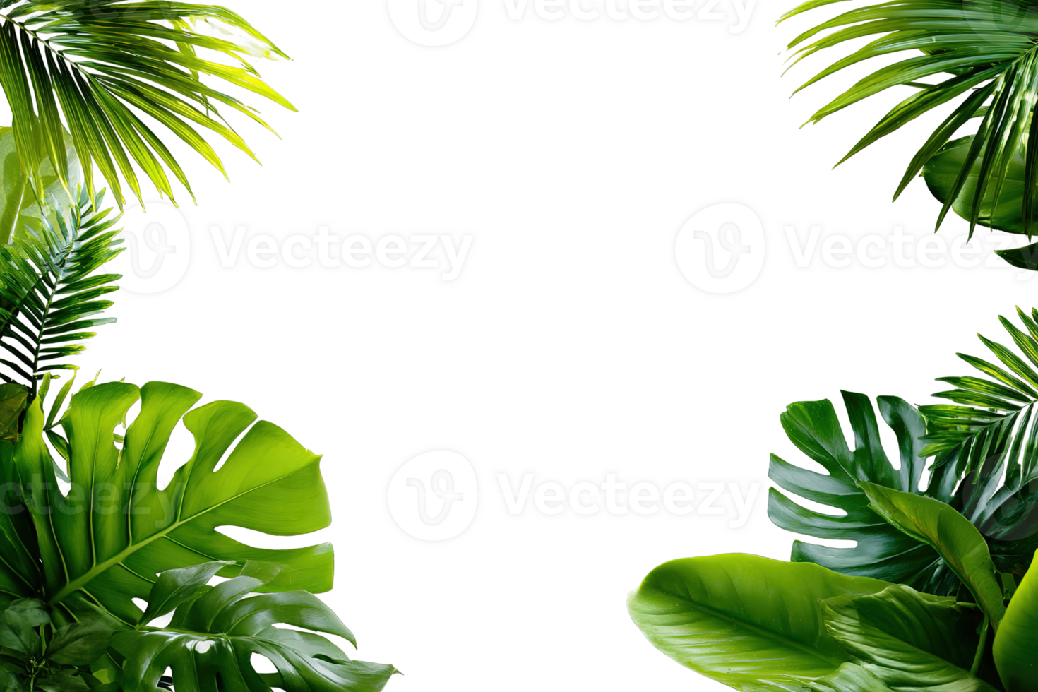 Exotic Jungle Tropical Leaves Corner Frame Transparent Overlay Isolated On Black Background png