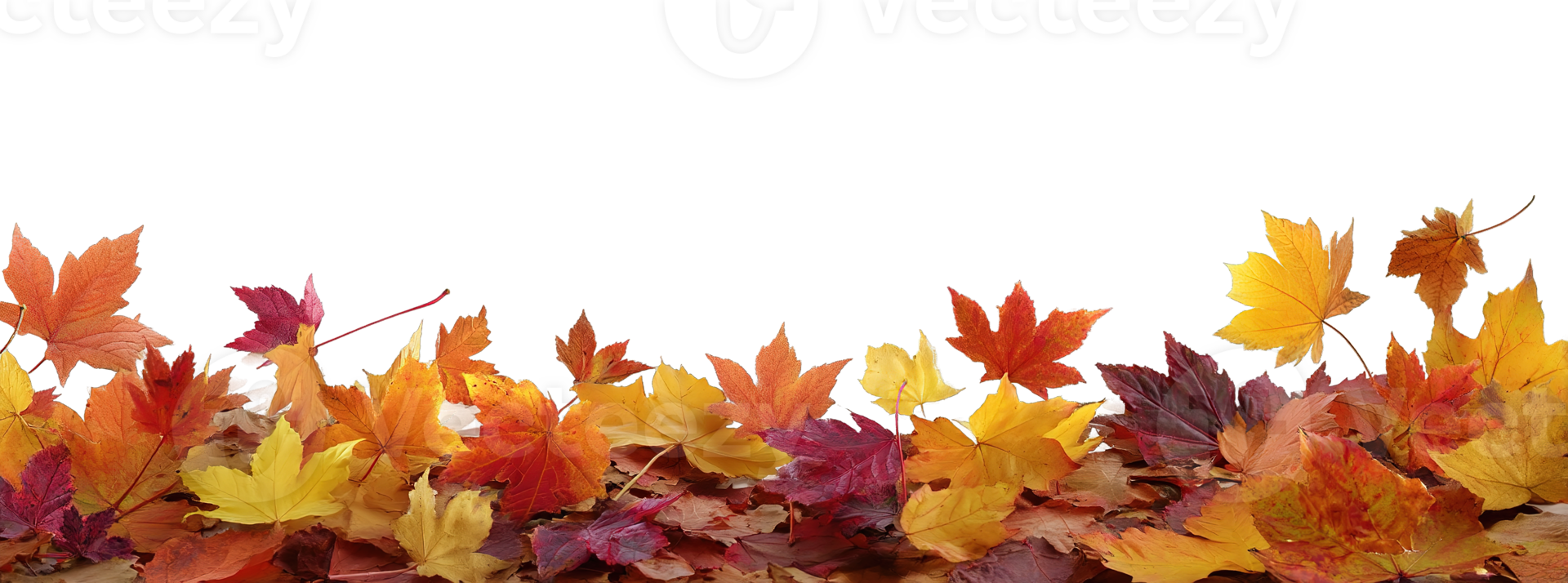 Colorful Autumn Leaves Border on a Transparent Background Frame Graphic Element png