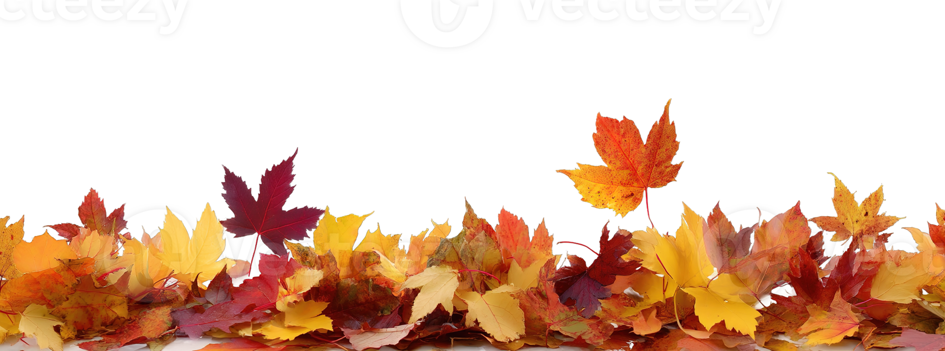 Autumn Colorful Border of Fall Leaves on Ground Transparent Background Isolated png