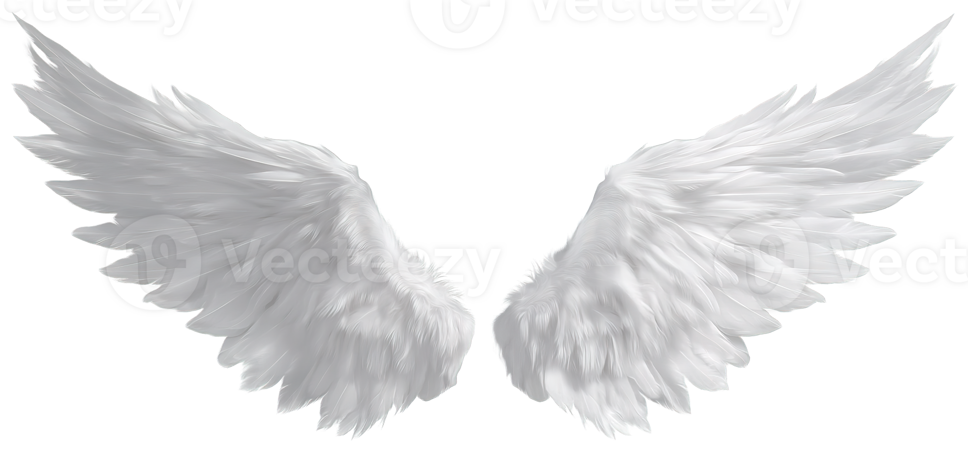 Elegant Angel Wings on a Transparent Background Symbol of Freedom and Hope png