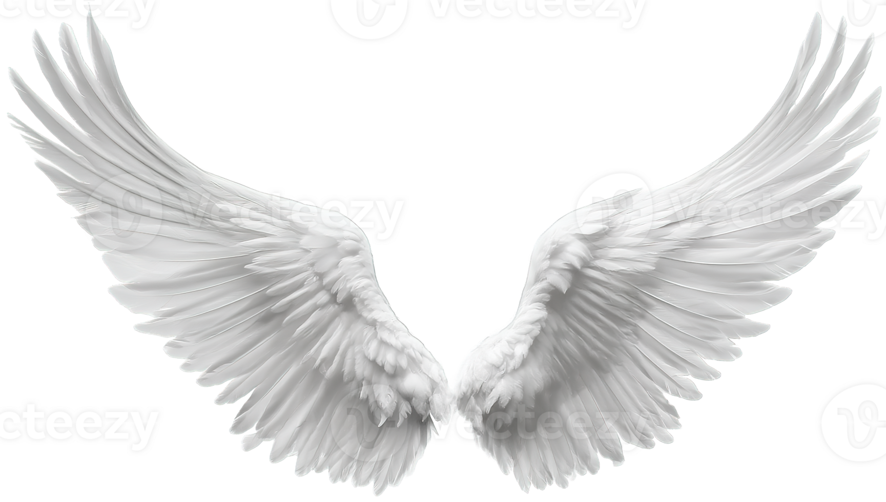 Two white angel wings isolated on a transparent background in a format png