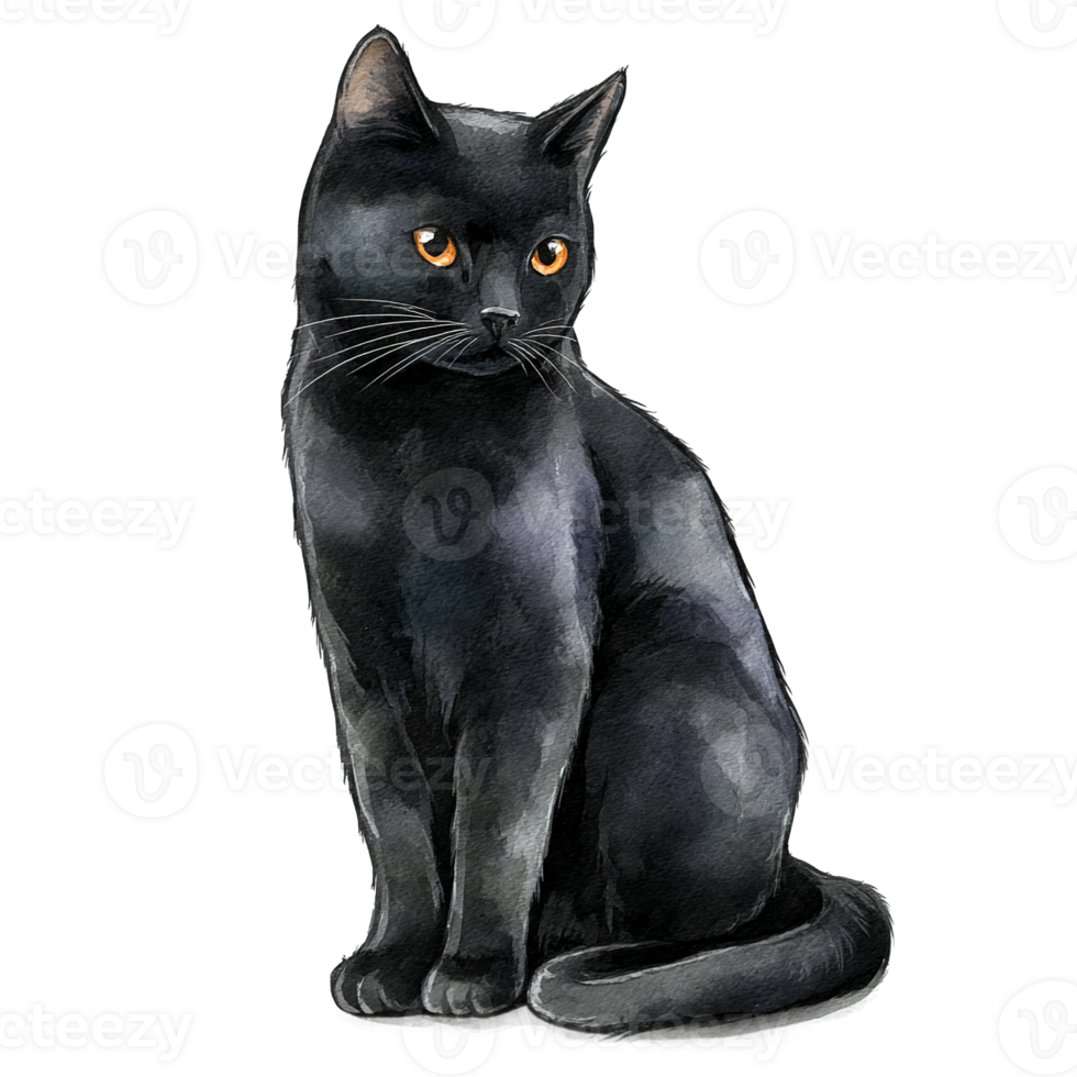 A Watercolor Black Cat Portrait With Transparent Background Isolated Detailed Depiction png