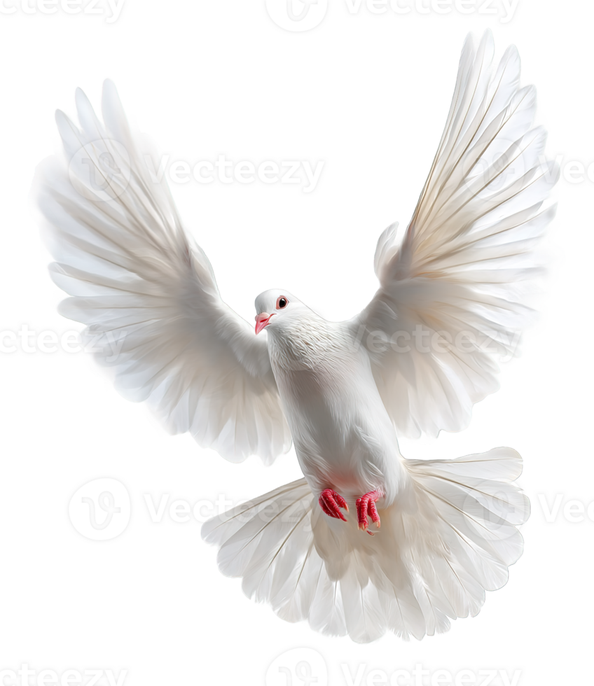 White Dove Flying Freely Against Transparent Background Showing Grace and Peace png