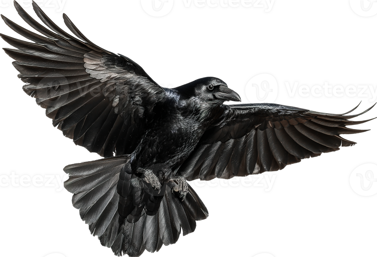 Majestic Raven in Flight with Wings Spread Wide Isolated on Transparent Background png