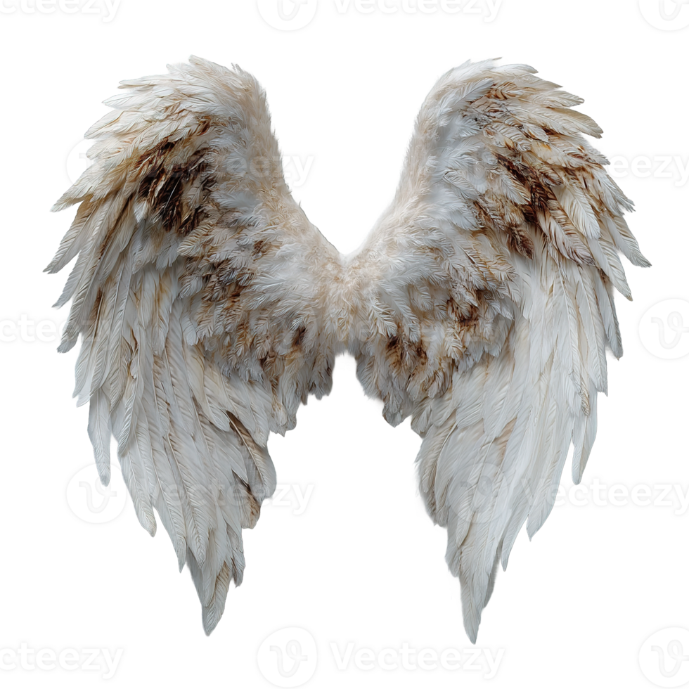 Isolated Feather Angel Wings with Transparent Background Perfect for Creative Design Projects png