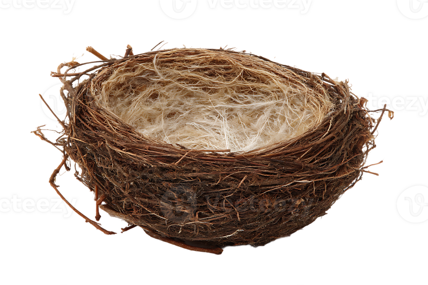 An Empty Bird Nest On A Transparent Background Isolated Image png