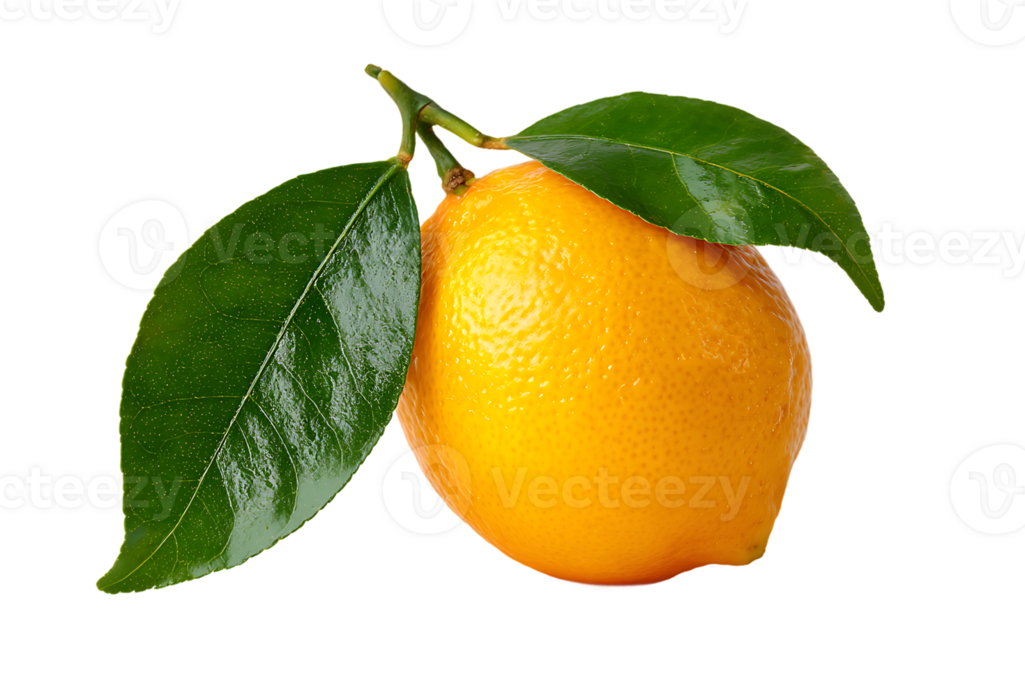 Fresh Lemon with Green Leaves on Transparent Background Health and Nutrition Image png
