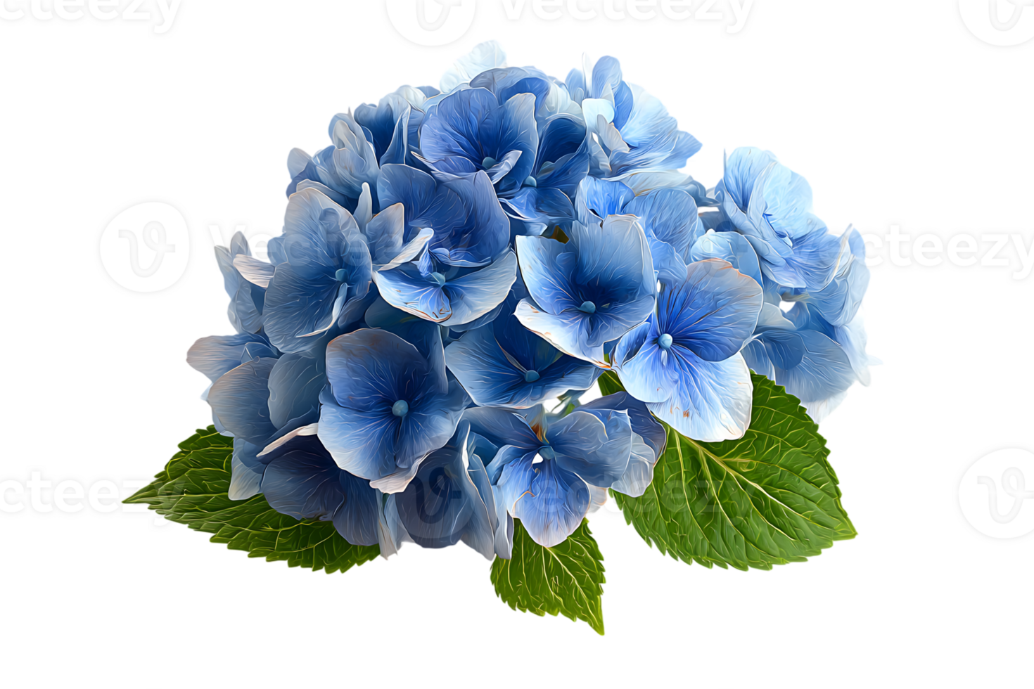 Isolated Blue Hydrangea Flower on Transparent Background Perfect for Floral Designs and Crafts png