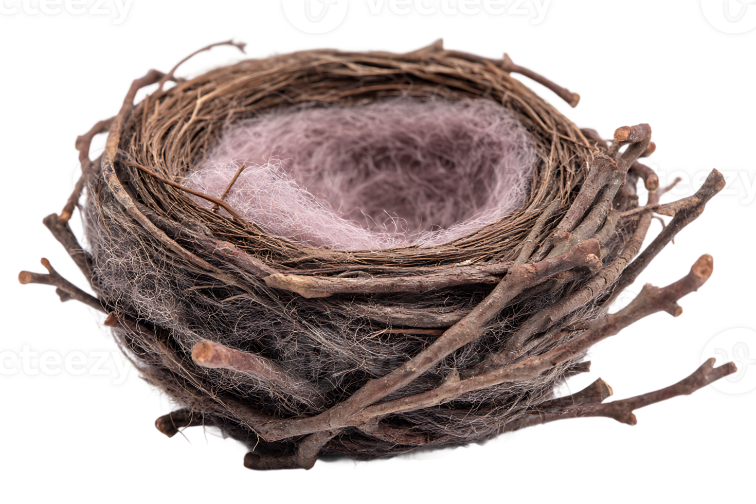 Isolated Woven Nest Made of Twigs and Lined with Soft Material Isolated png