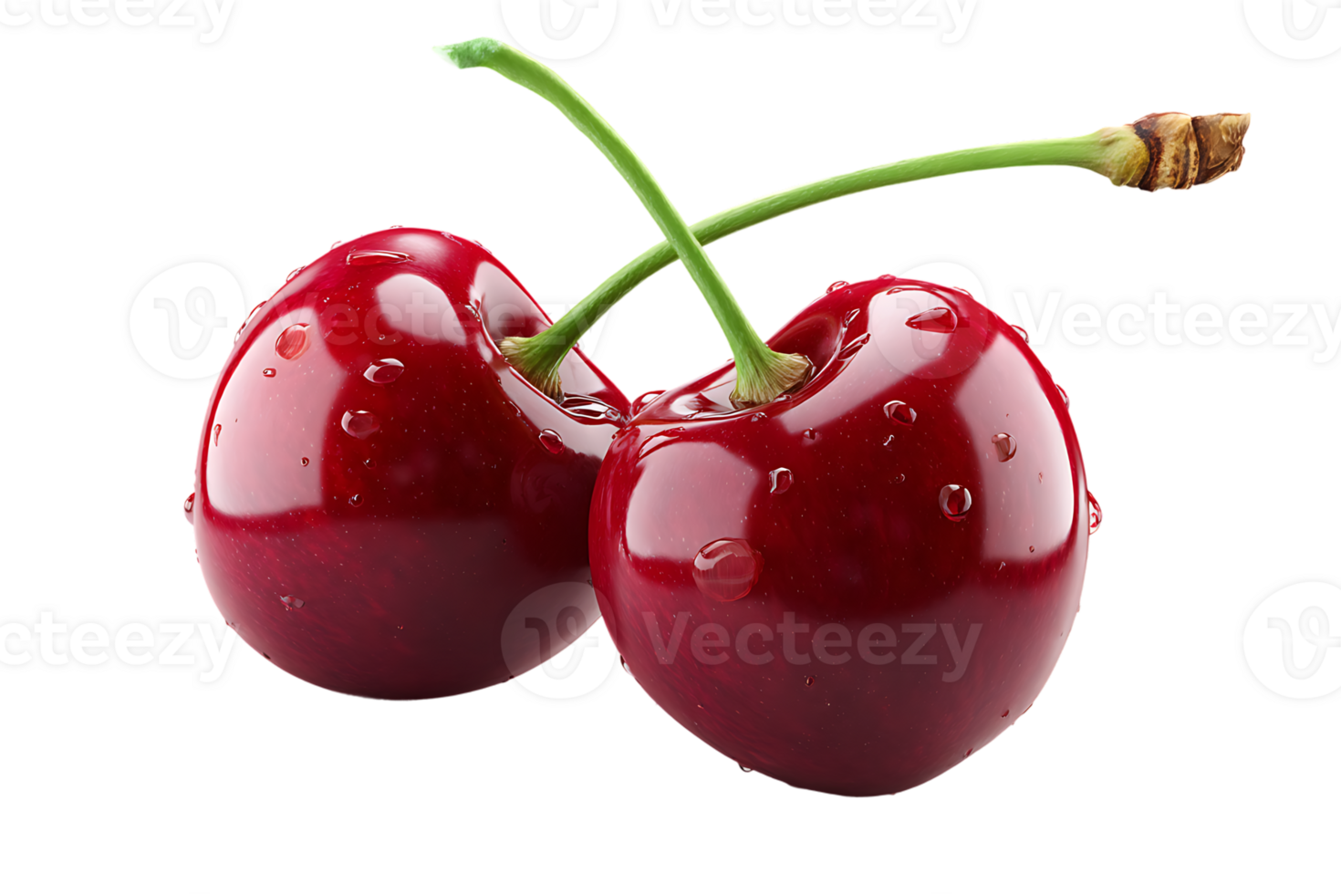Two Fresh Cherries Fruits on a Transparent Background Isolated png