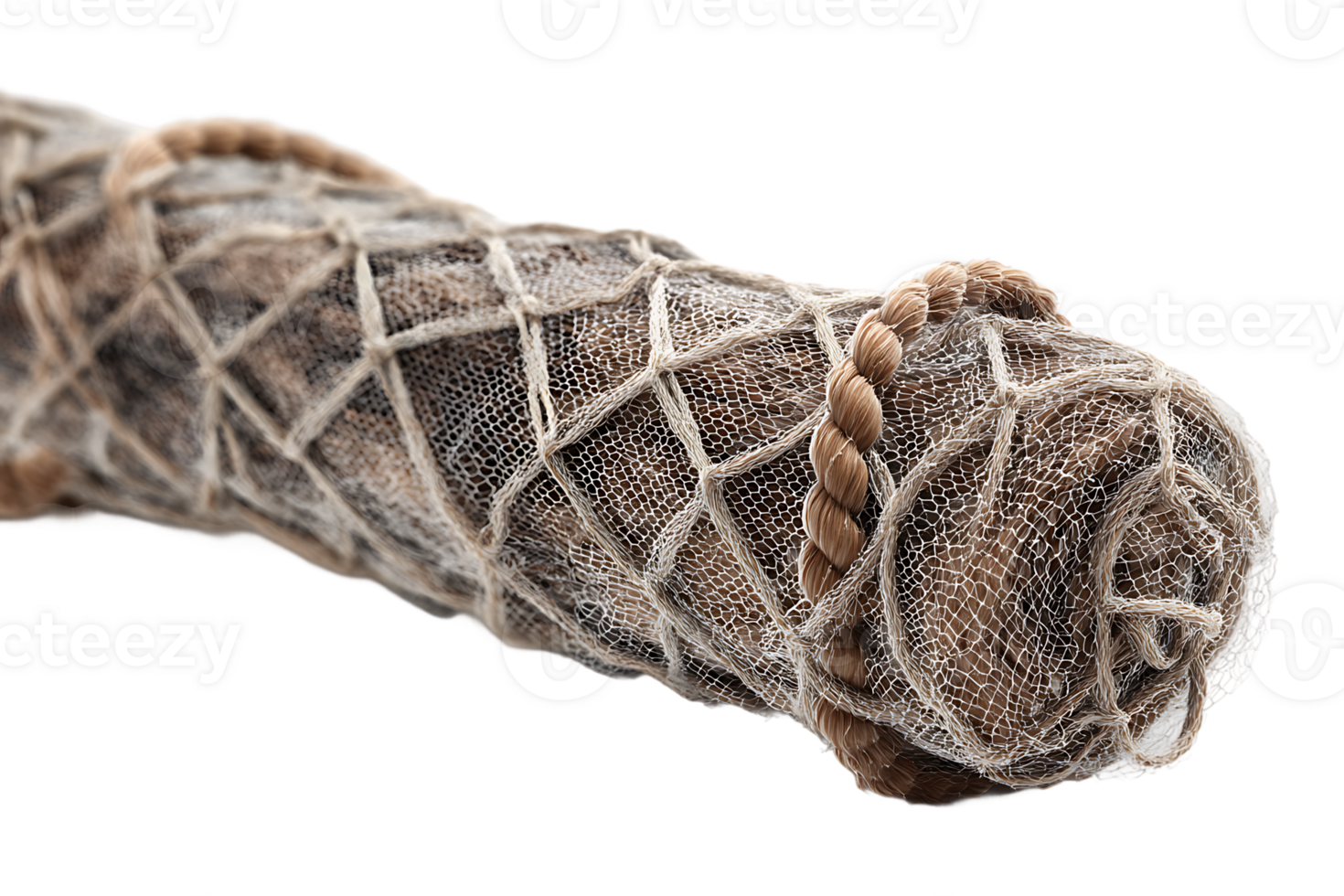 Detailed Close Up Of The Head of A Reptile With Isolated Background png