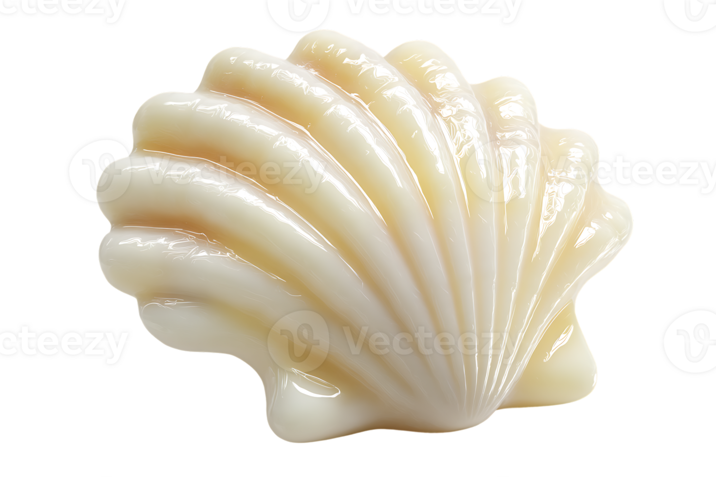 Isolated Seashell On Transparent Background Realistic Ocean Treasure Marine Life Beach Summer Vacation png