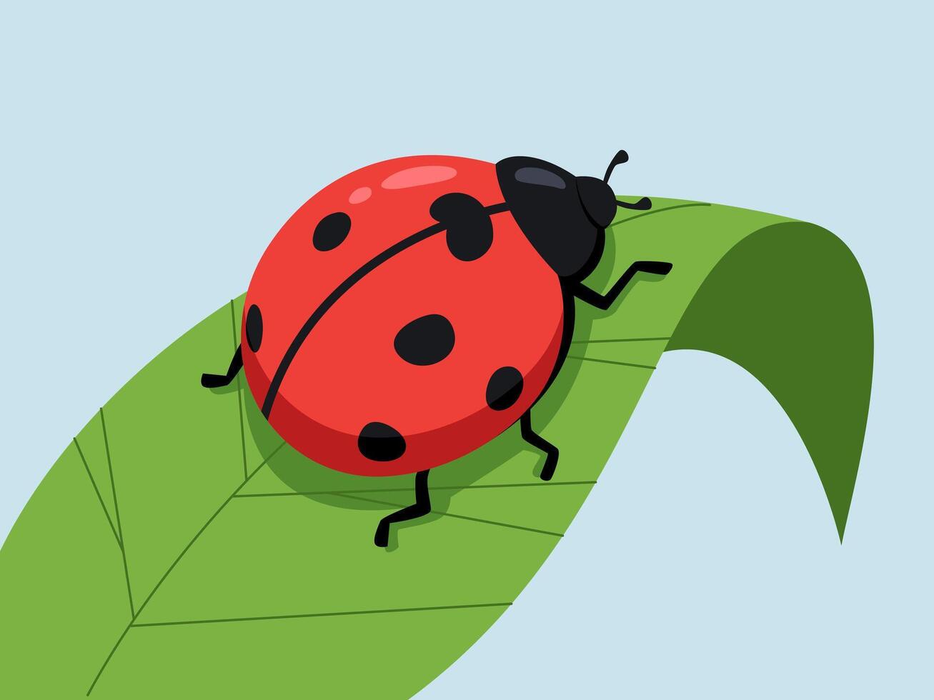 Ladybug on a Leaf, A cheerful ladybug rests on a vibrant green leaf, a charming illustration perfect for children's books, nature-themed designs, or springtime projects vector