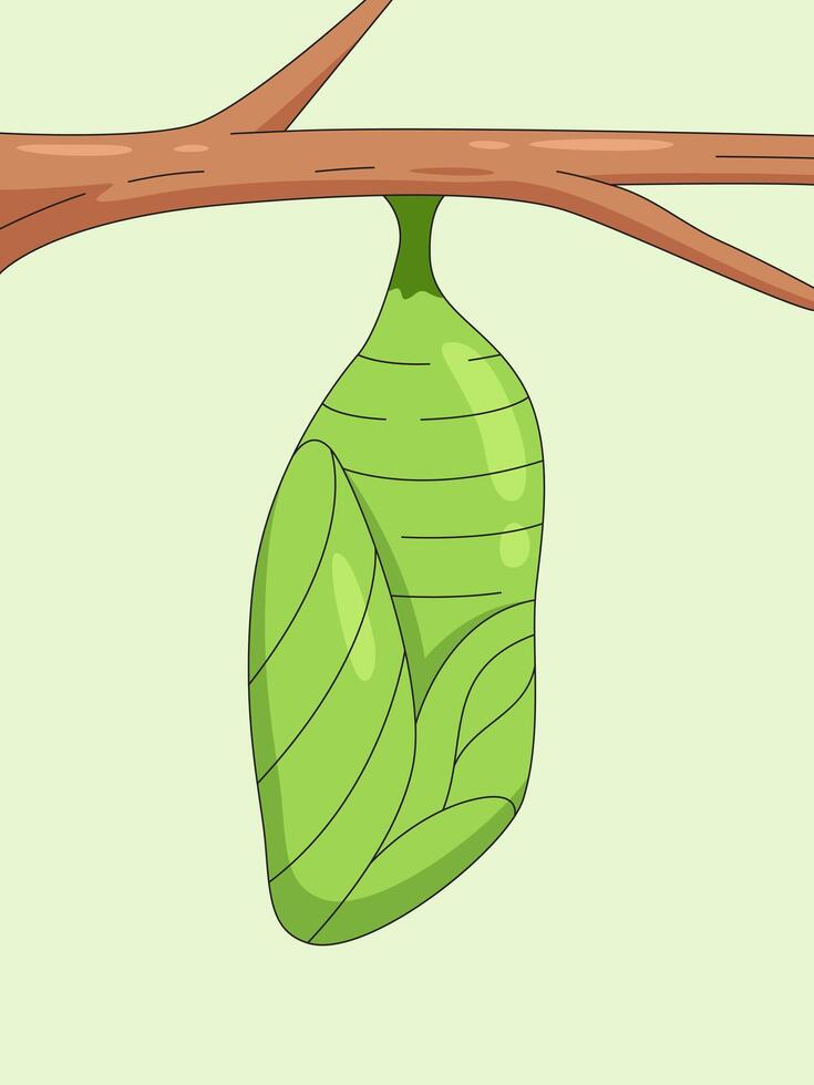 Chrysalis on a Branch, A delicate green chrysalis hangs from a slender branch, symbolizing transformation, growth, and the promise of new beginnings vector