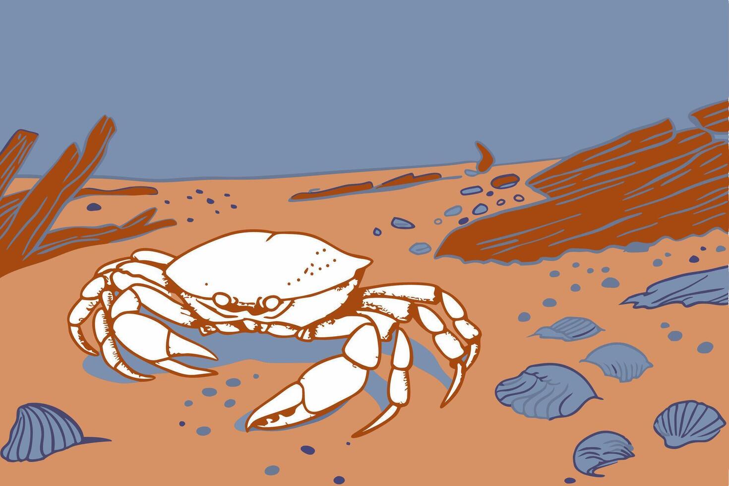 A drawing of a crab on the beach vector