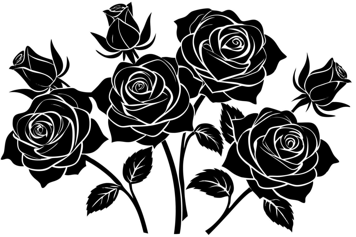 Black and white roses on a white background vector