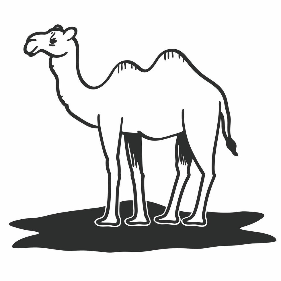 A camel is standing in the desert coloring page vector