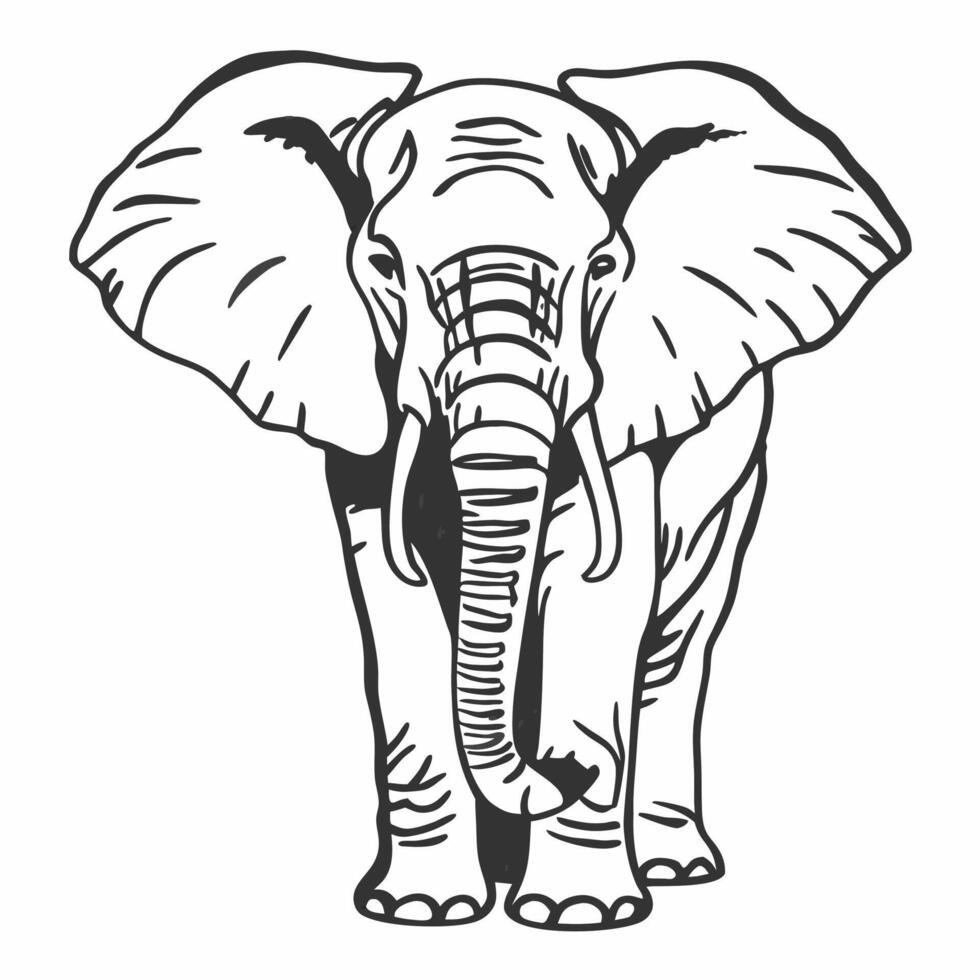 An elephant is standing in the middle of a white background vector