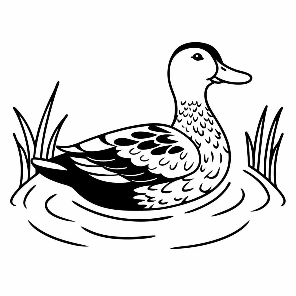 A duck in the water coloring page vector