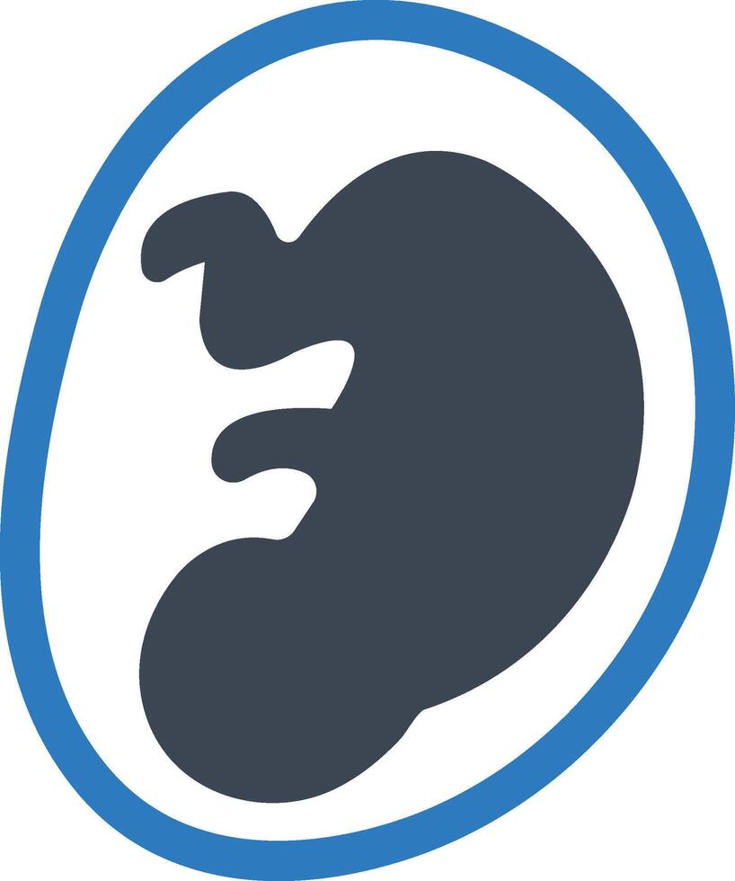 Fetus, maternity icon vector