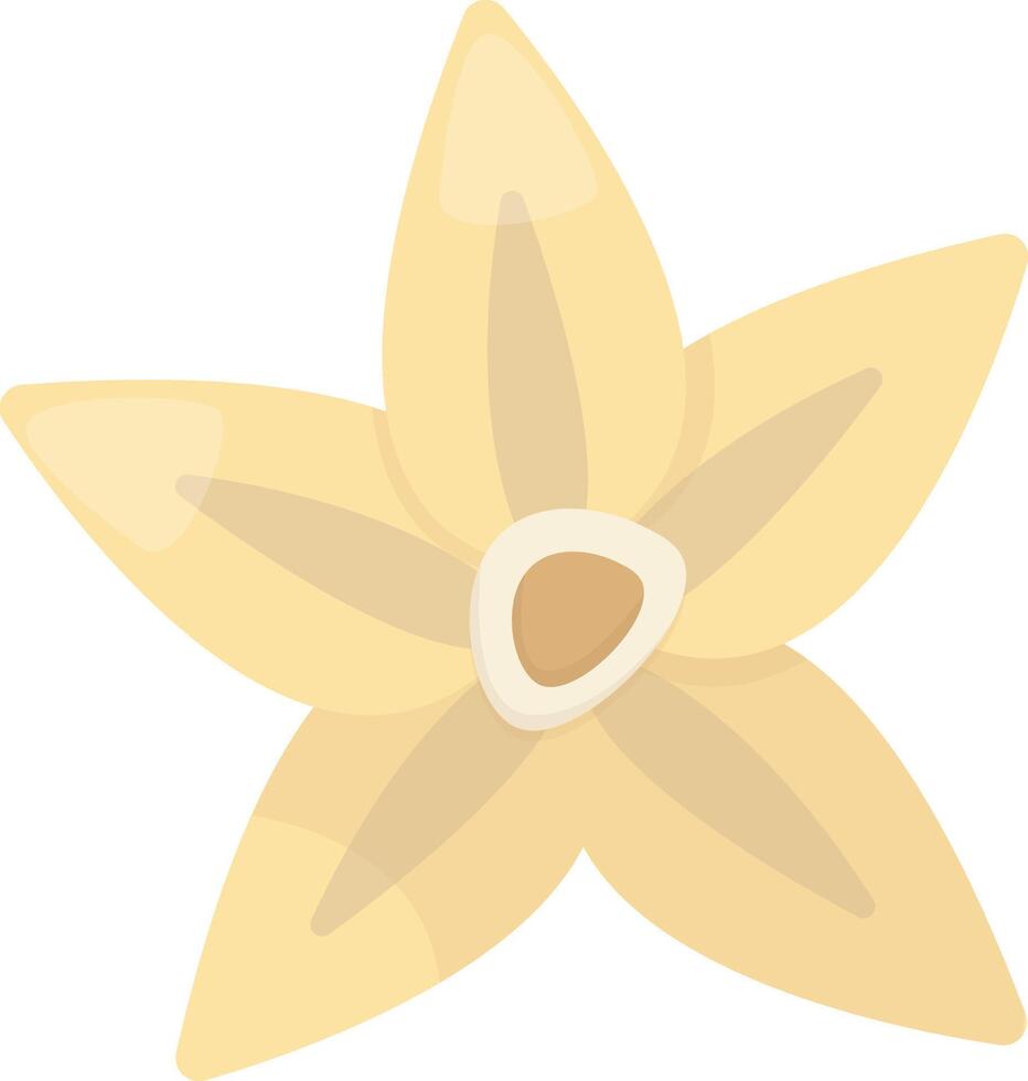 Single Vanilla Flower vector