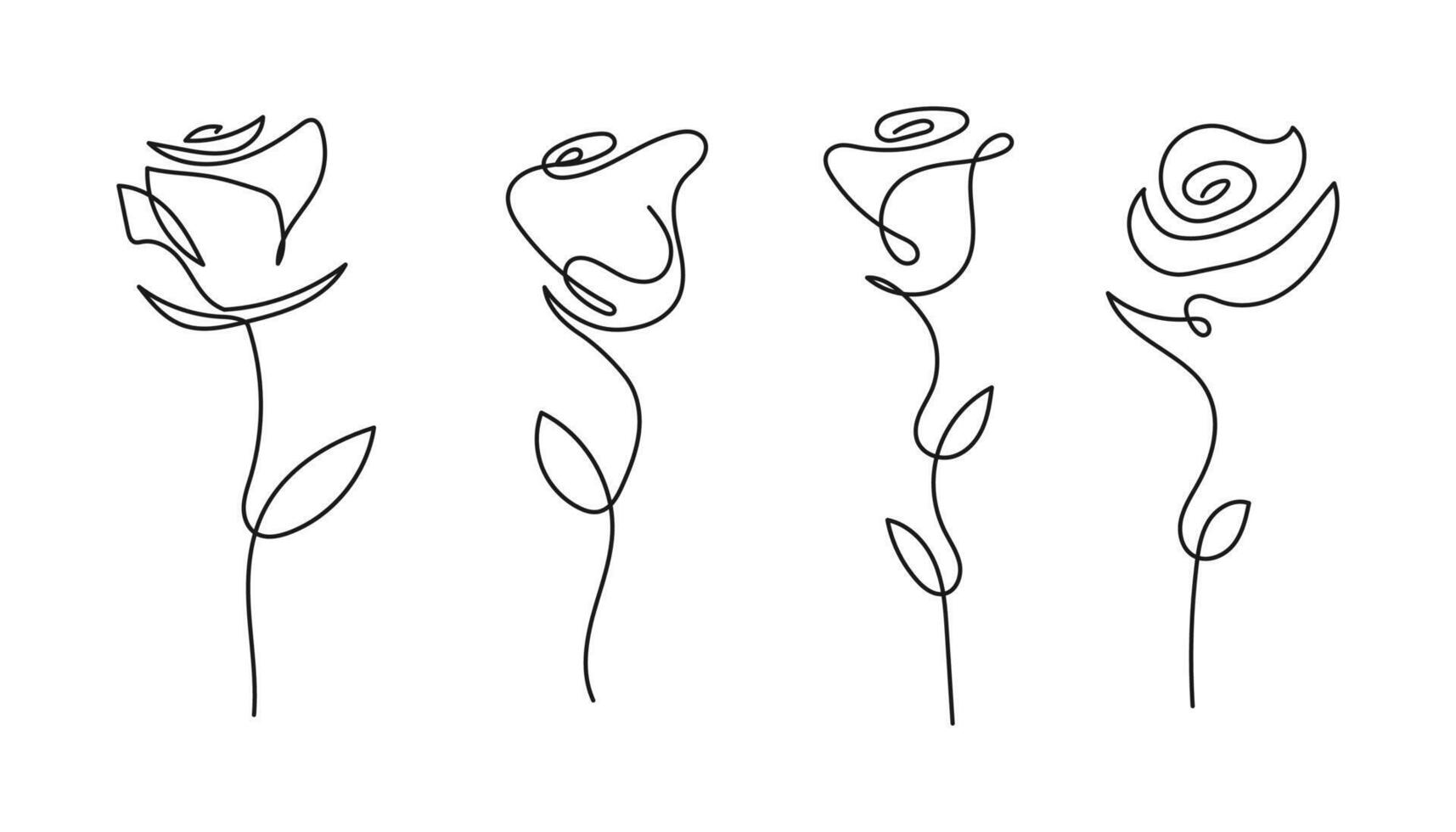 Rose flower line drawing minimalist designs. illustration vector