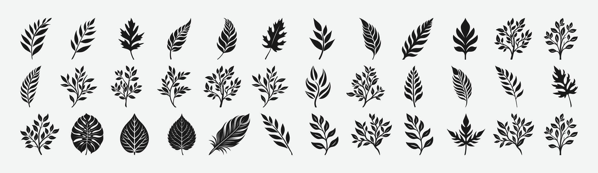 Silhouette Leaf Bundle vector