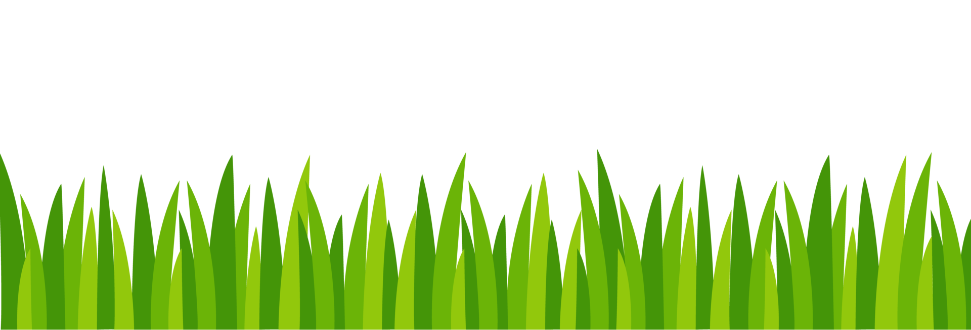 Lush green grass border. A simple, flat graphic border of lush green grass, symbolizing nature, growth, and outdoor themes. png