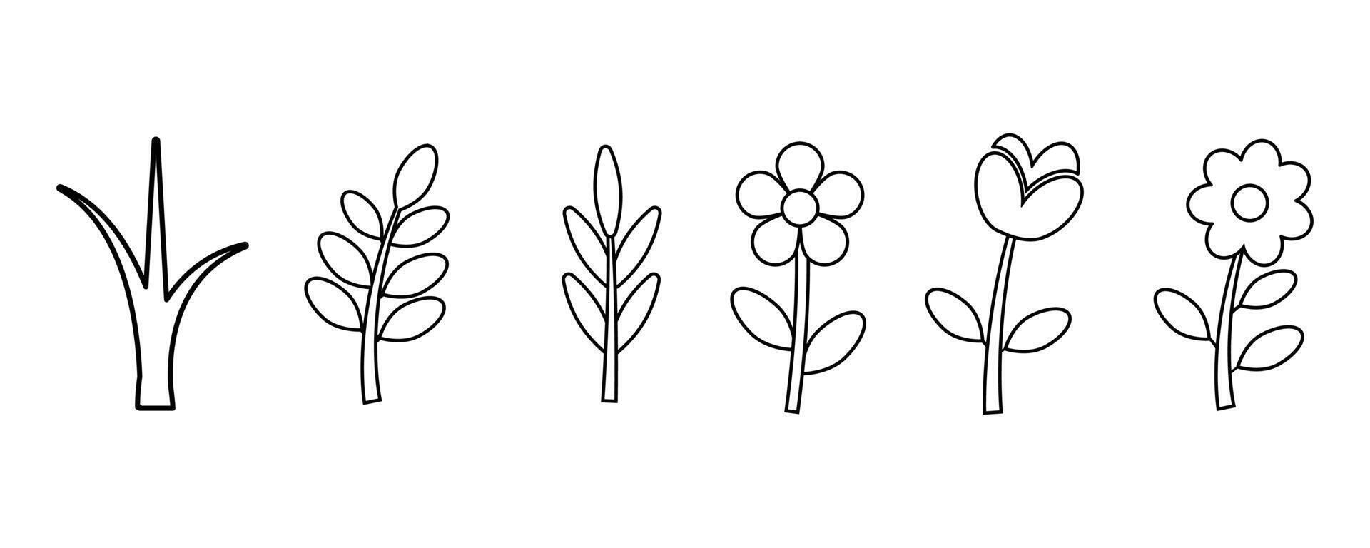 Collection of flower outline icon. Flowers and plants set. Minimal feminine botanical floral branch illustration. vector
